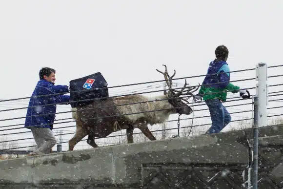 dominos-pizza-reindeer
