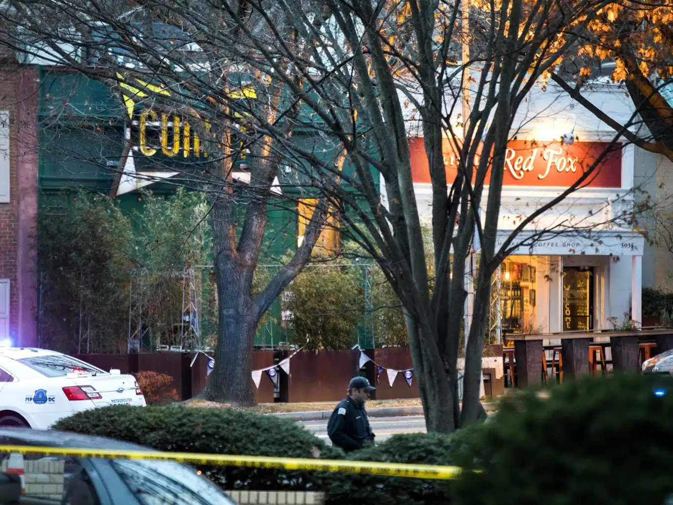 pizzagate