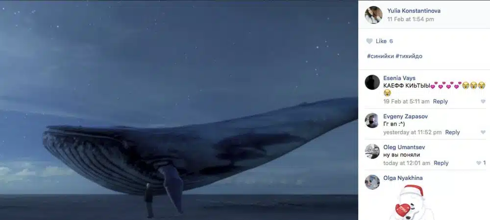 Blue Whale