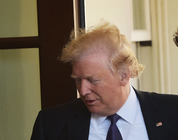 Donald Trump hair 1