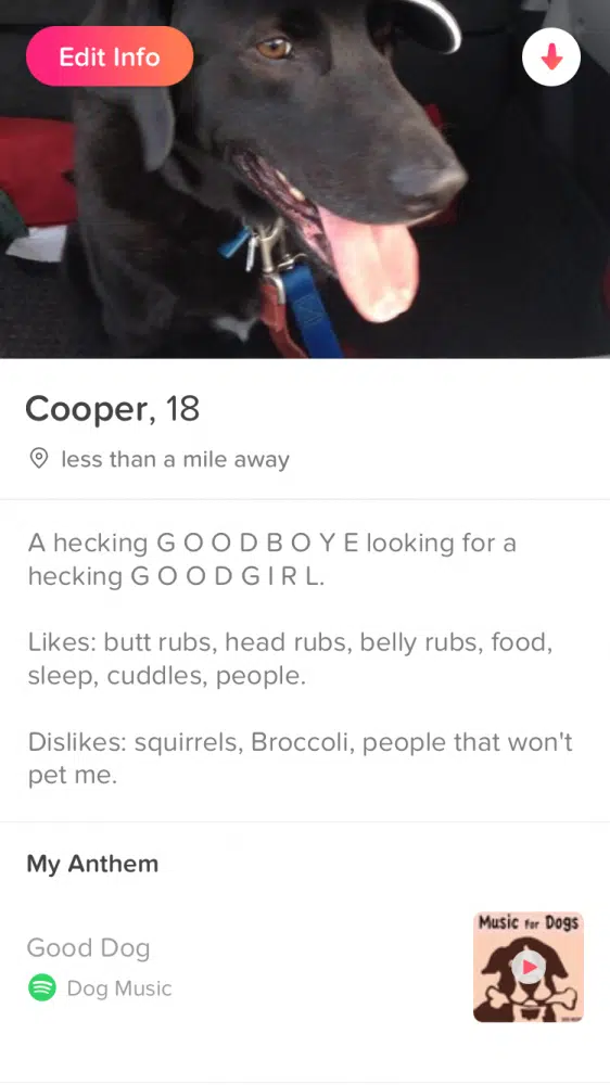 Tinder 9