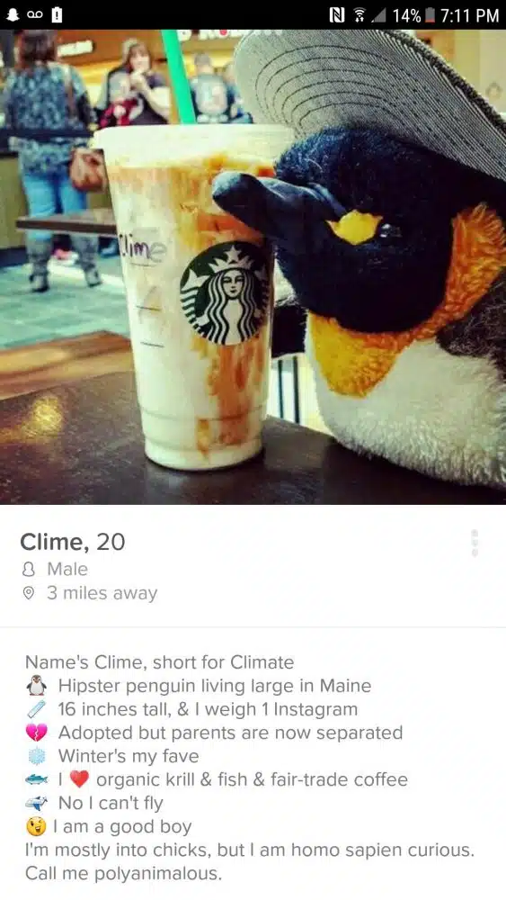 Tinder 5
