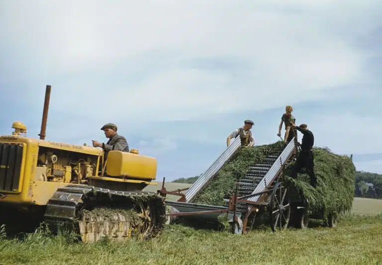 The Second World War in Colour