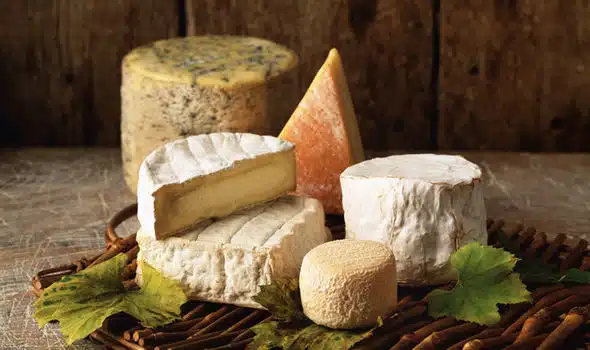 Cheese
