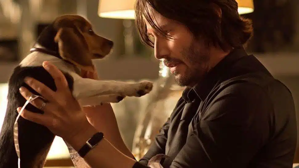 John Wick