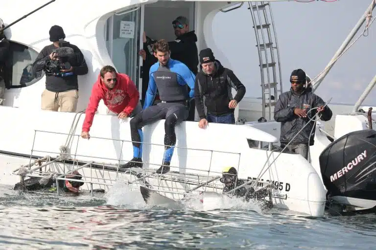 Phelps shark