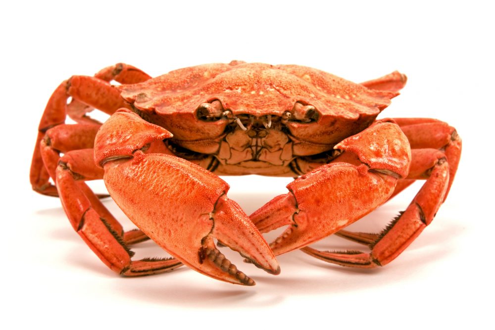 Red boiled crab