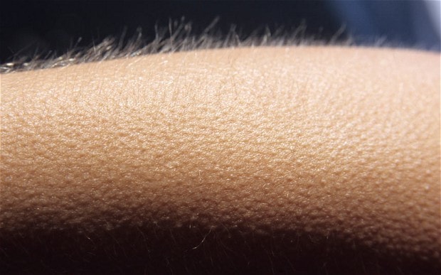 Goosebumps-1.jpg