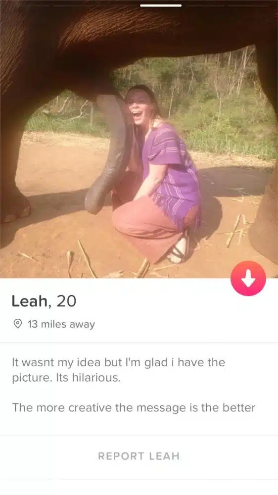 Tinder 3