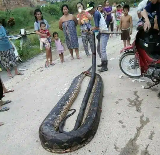Python 1