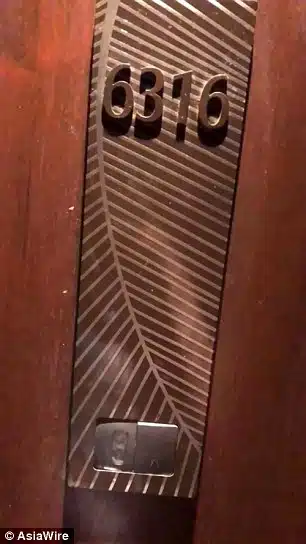 6316