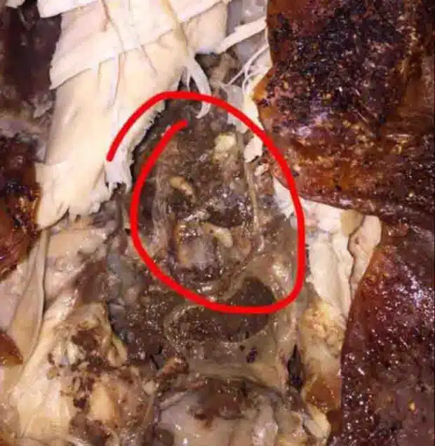 Chicken Testicles