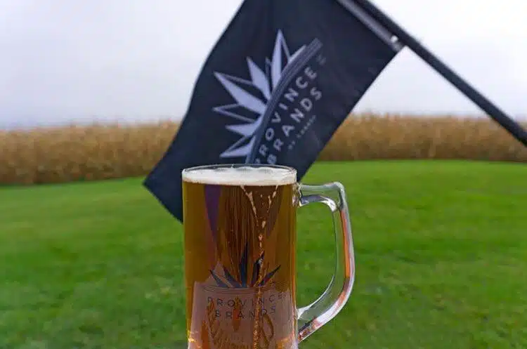 Cannabis Beer 1