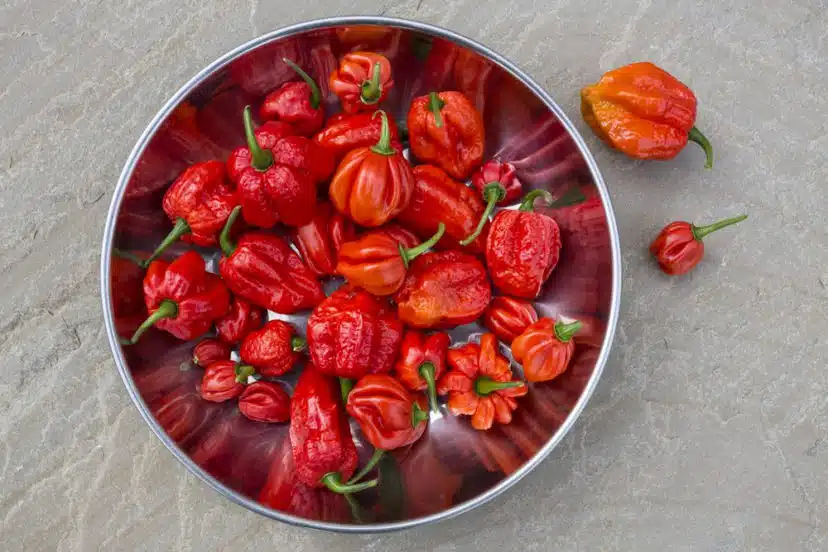 Peppers