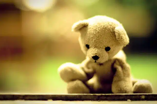 Teddy Bear