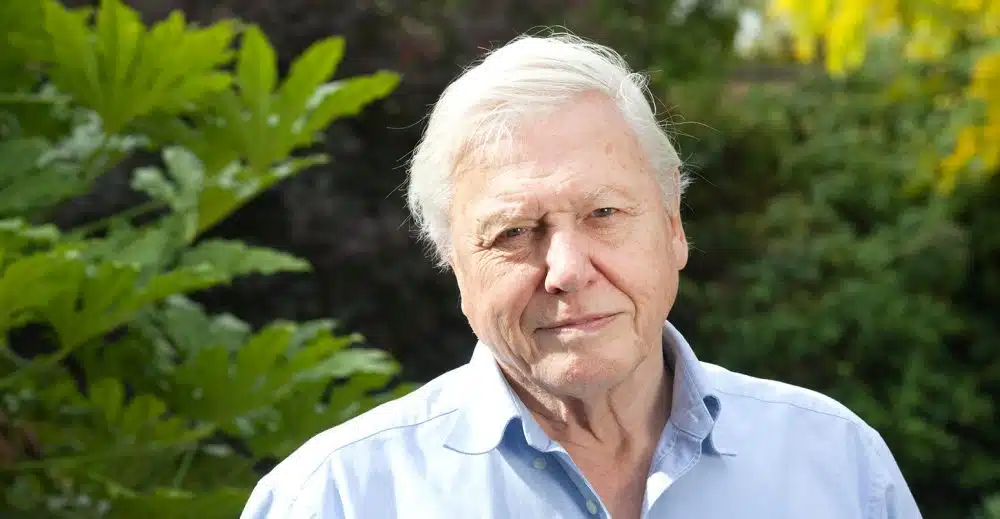 Sir David Attenborough, English broadcaster and naturalist, at his home in Richmond, Borough of Richmond upon Thames, England UK