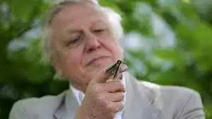David Attenborough