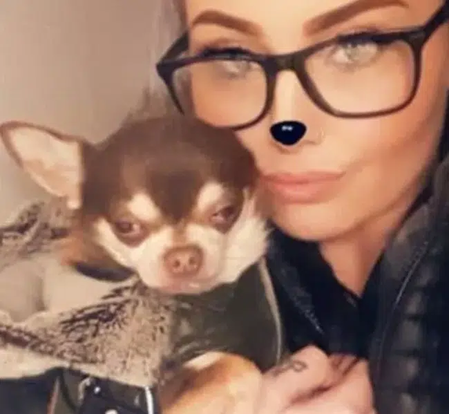 dog and owner