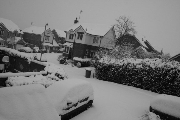 a view of the snow from my house.