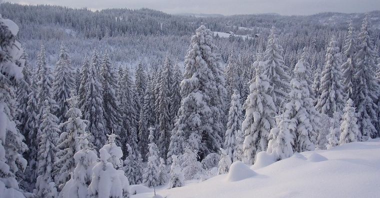 Snow