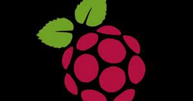 Raspberry Pi Logo