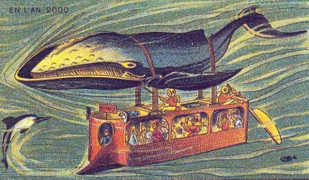 whale bus