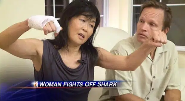 Shark Attack