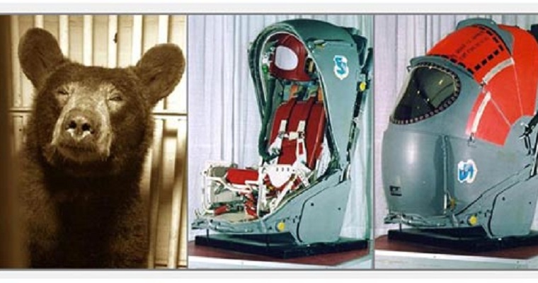 Yogi in B-58 Bear Ejection Seat