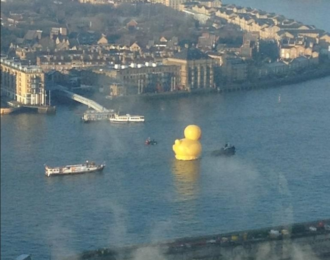 Rubber Duck