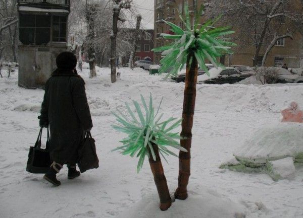 Hilarious Russian Photos - Palm Trees