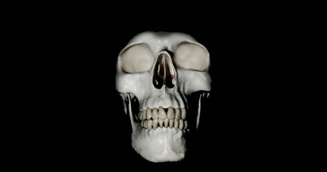 Skull