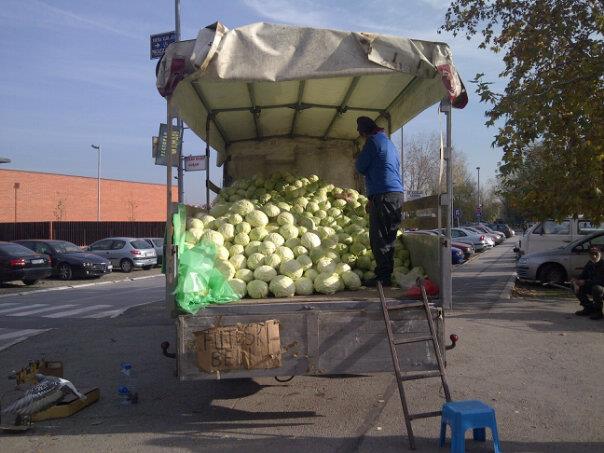 Serbian Cabbage