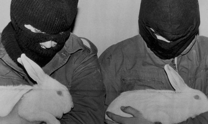 Animal Testing Banned