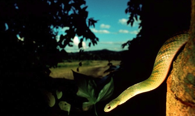 madidi national park