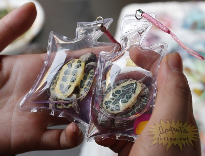 Chinese Necklaces - Turtles