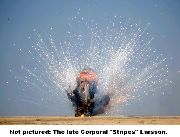 Stripes Larsson