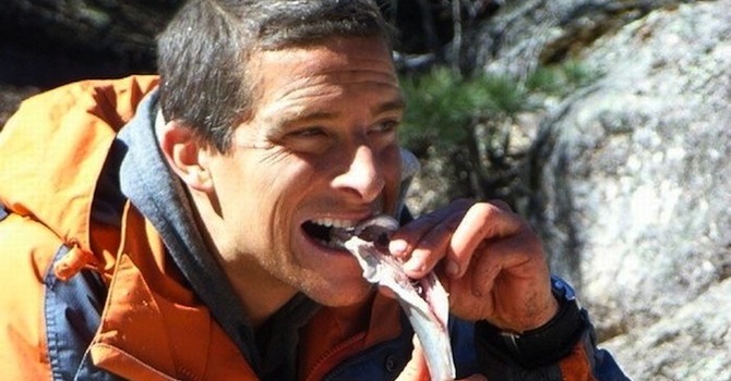 GRYLLS SNAKE