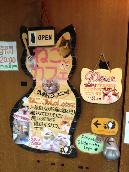 cat cafe 1