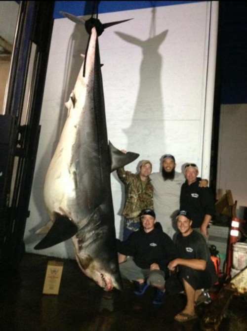 Biggest Mako Shark - California - Crew