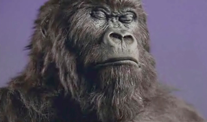 Cadbury's Gorilla