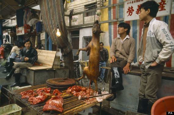 Chinese Dog Meat Festival - Stall - Dog On Spit