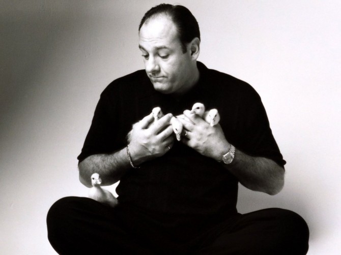 James Gandolfini Dies Aged 51