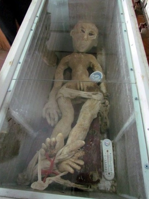 Mr Li - China Alien In Freezer Arrest