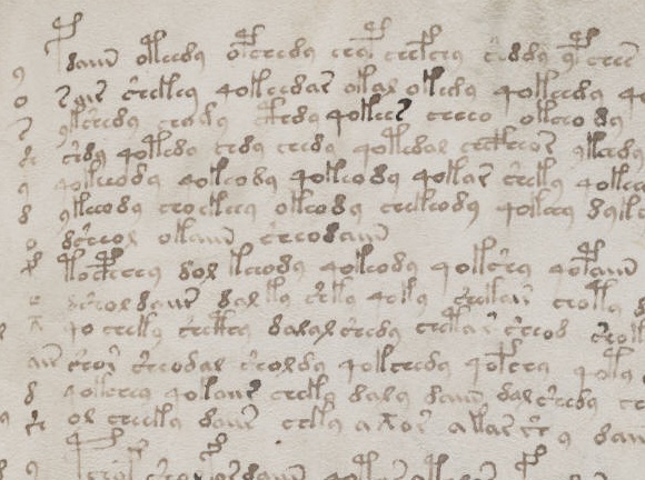 Voynich Manuscript - Text Close Up