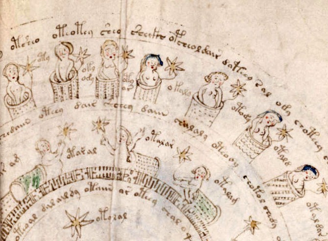 Voynich Manuscript - Text and Image Close Up