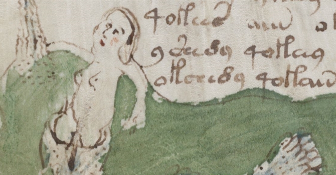 Voynich Manuscript - Woman Naked Close Up