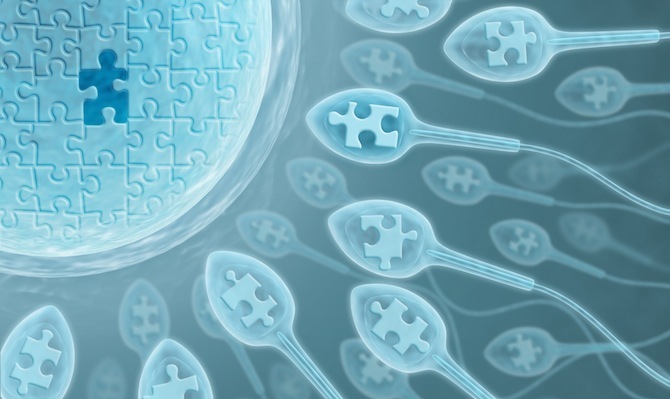 FERTILITY APP