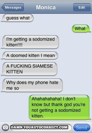 Sodomized kitten autocorrect