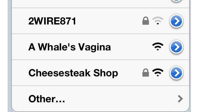 A Whales Vagina