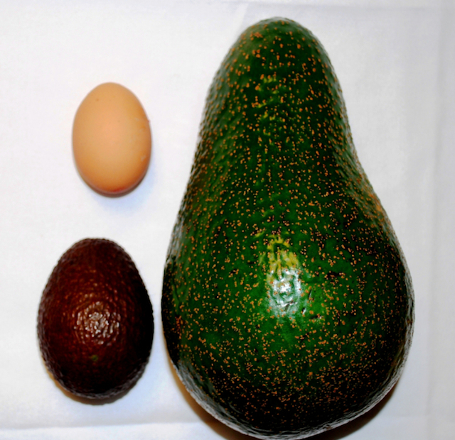 Avozilla